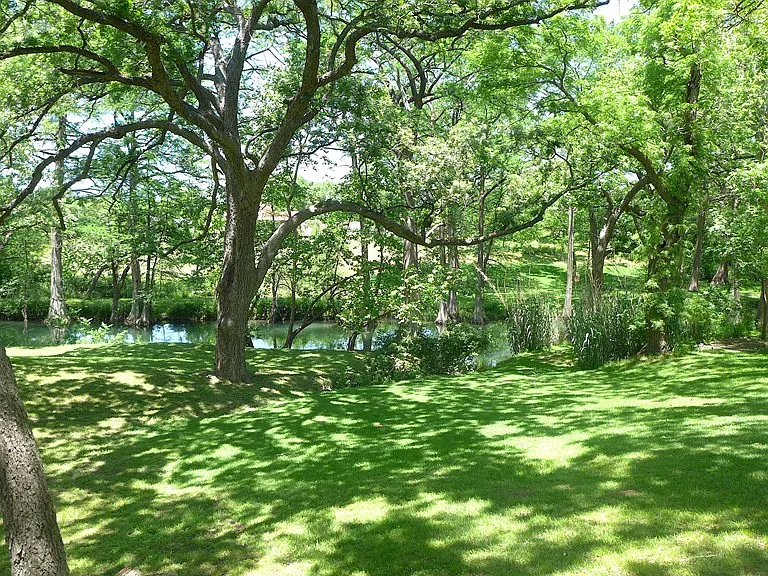 156 Verde Park Blvd — Photo 26