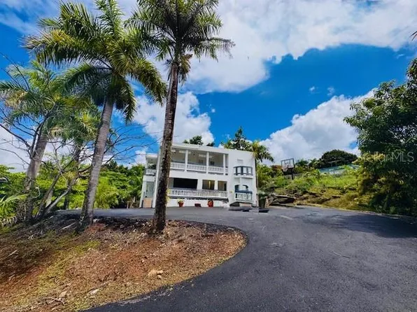 Cienaga Alta Lot 1, Rio Grande, PR 00745