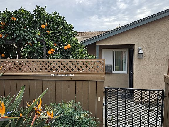 Outside my gate, showing prolific Orange Tree