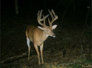 4983 Iron Mountain Rd, Lewisburg, KY 42256