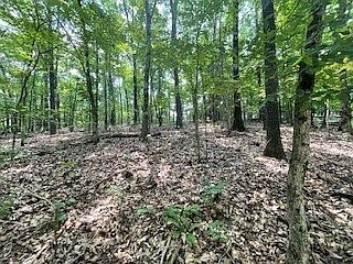 5th image of 6 Chelmsworth Cir