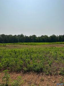 TRACT 40 Hays Mill Rd, Elkmont, AL, 35620