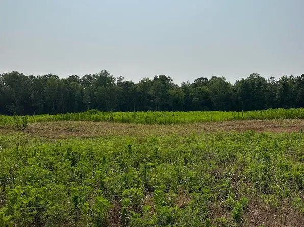 TRACT 40 Hays Mill Rd, Elkmont, AL 35620
