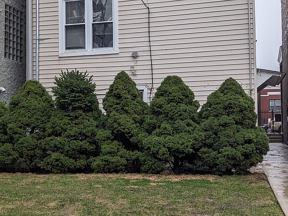 Private back yard