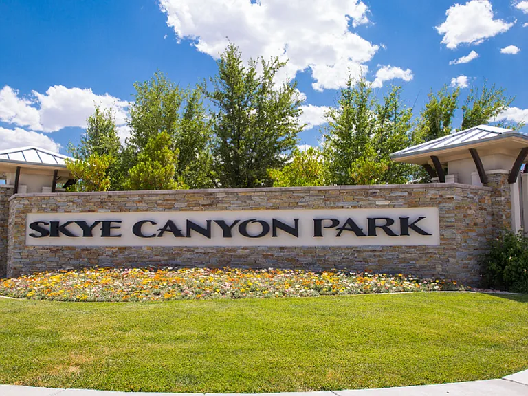 10025 Desert Bighorn Ct — Photo 48
