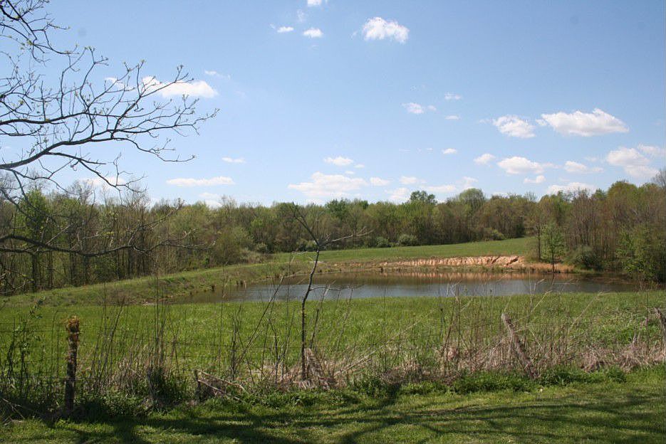 Pond