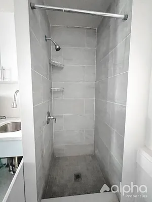 Rented by Alpha Properties NYC I LLC | media 7