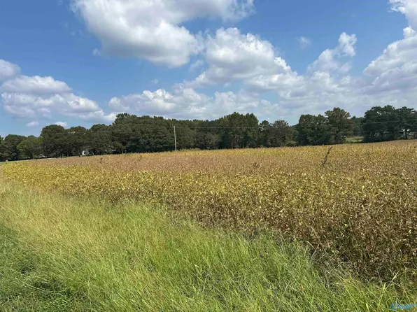 1929 N Carlisle St, Albertville, AL 35951