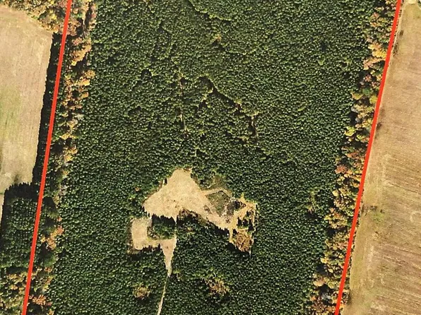 0 Dover Bridge Rd, Bethlehem, MD 21609