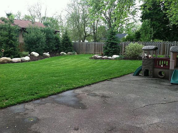 back yard