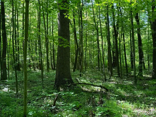 18500 Amstutz Rd, Leo, IN 46765