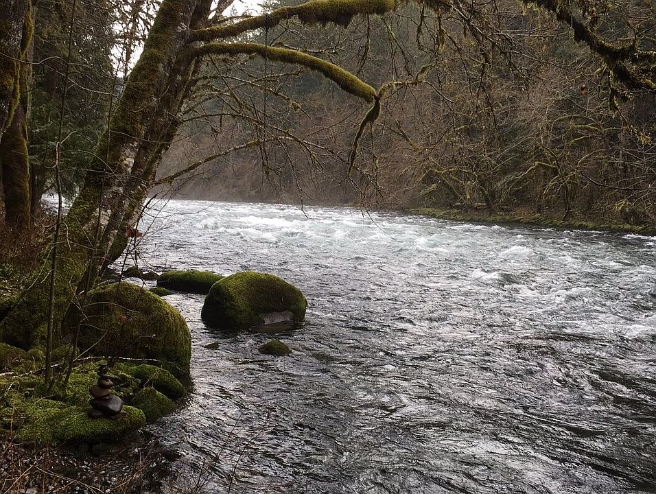 1st image of McKenzie River Dr
