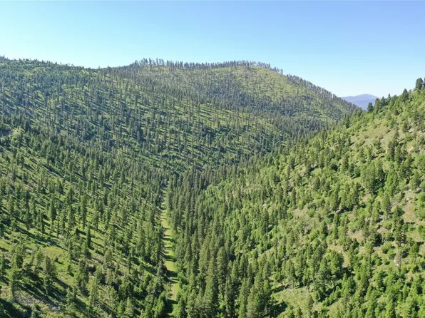 7 Garnet Range Rd, Drummond, MT 59832