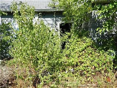 3741 Baltimore Ave photo 1