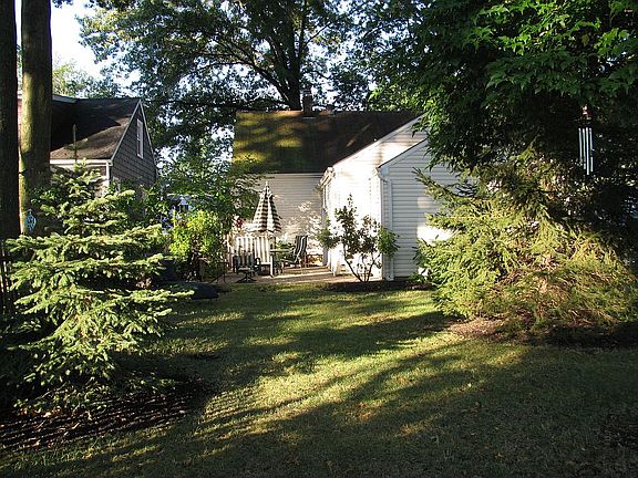 back yard
