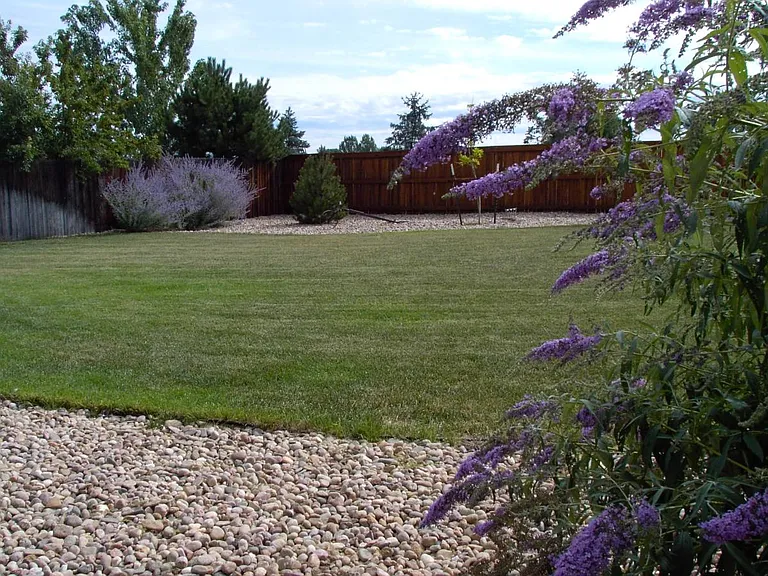 Large Backyard Beautiful Rock and Lawn