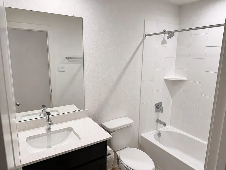 30414 Brixton Village St — Photo 13