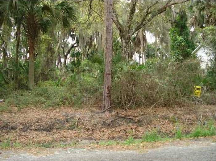 2nd image of 237 Toms Rd
