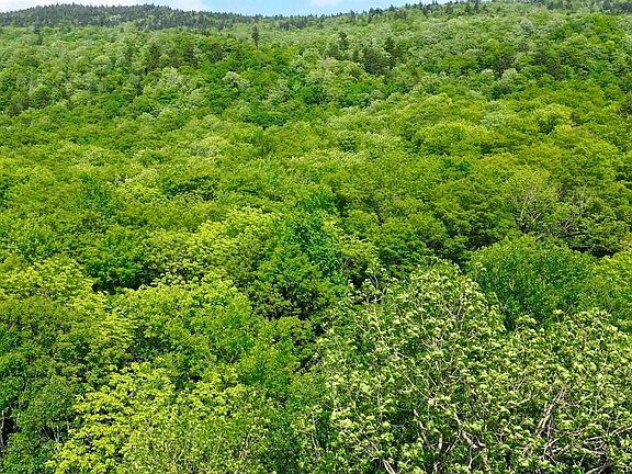 3rd image of 0 North Road