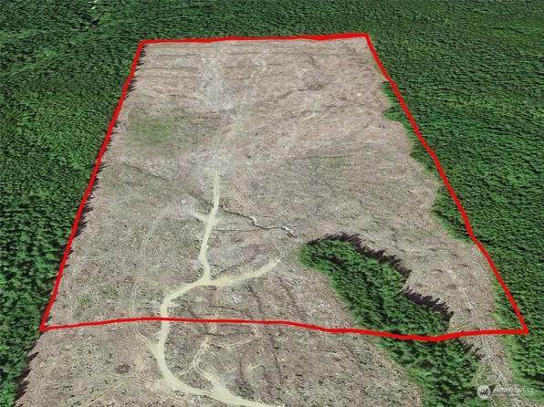 120 Forest Service 1.2, Moclips, WA 98587