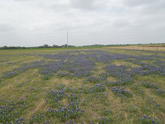 2nd image of 1700 County Road 134