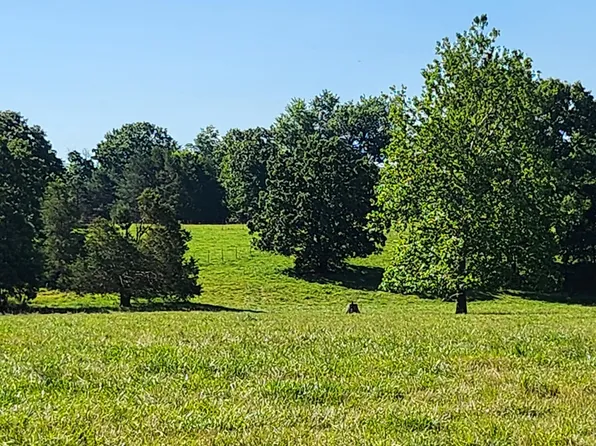 Tract 1 State Highway U, Fordland, MO 65652