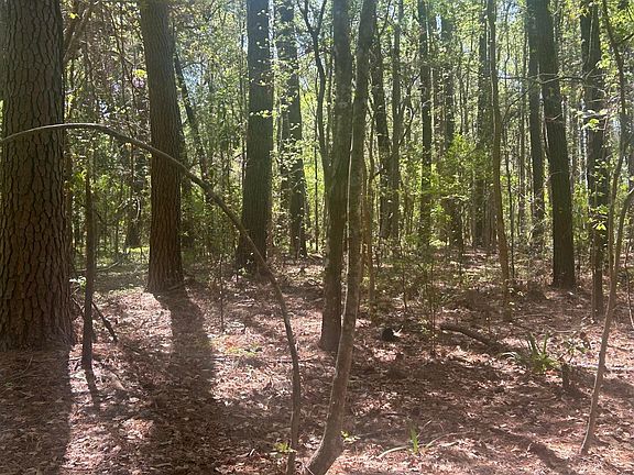 5th image of 2492 Boy Scout Rd
