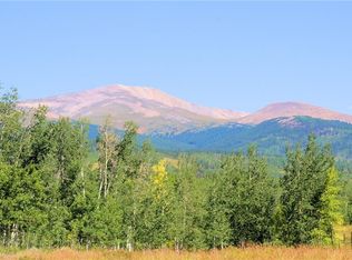 174 Canthook Ln, Fairplay, CO 80440