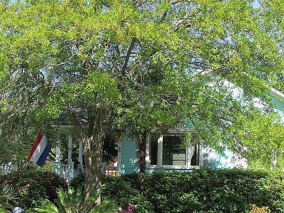 2nd image of 4856 Mixson Ave