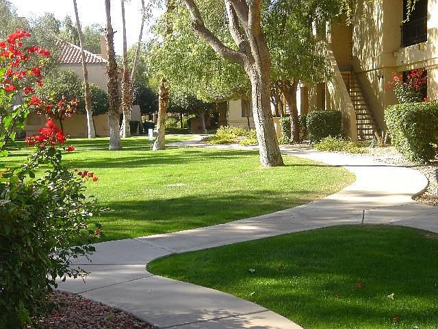 View from the Master Bedroom