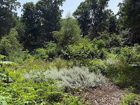 3rd image of 324 County Road 426