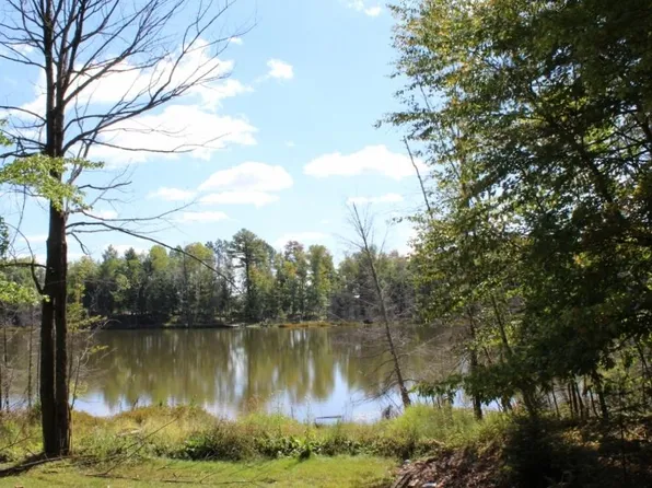 N9691 Spoon Ln, Pickerel, WI 54465