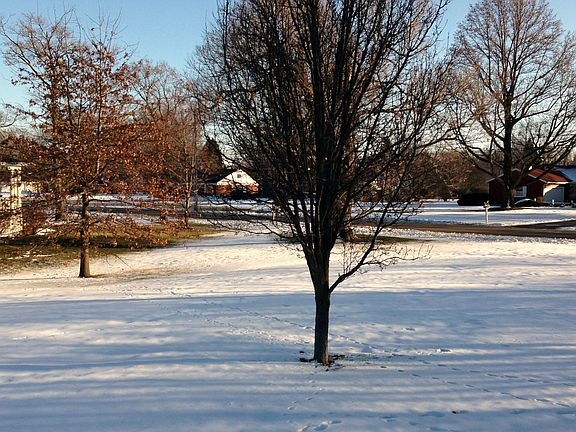 View from Kitchen Window