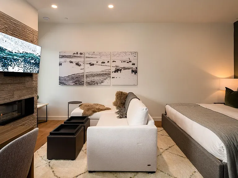 Sofa Bed
