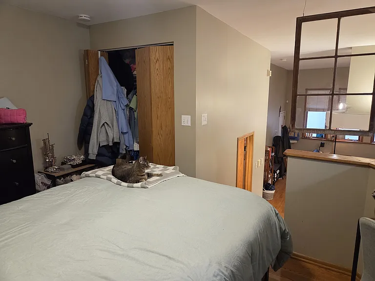 847 N Hoyne Ave #1F — Photo 10