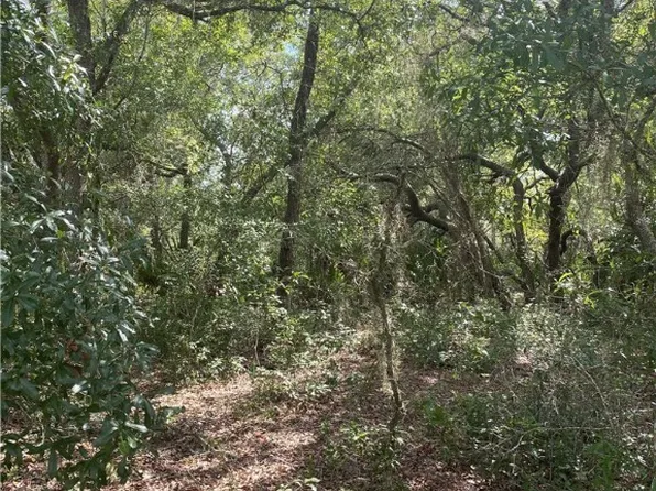 11864 W Cornflower Dr, Crystal River, FL 34428