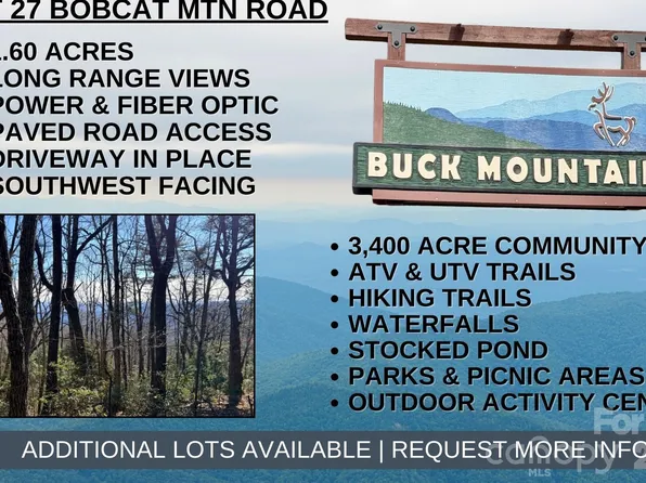 Bobcat Mountain Rd #27, Purlear, NC 28665