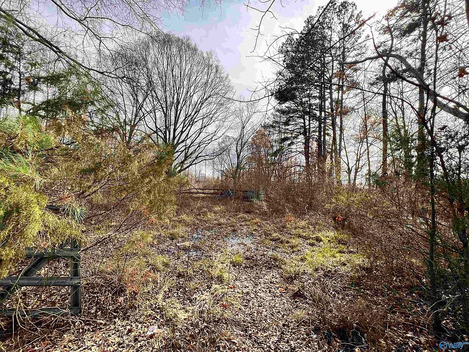 2nd image of Dundee Rd