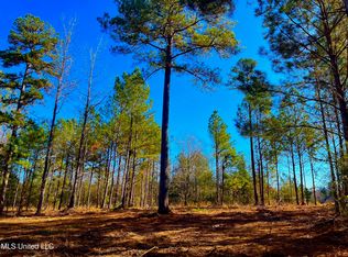 4001 Stegall Rd, Wesson, MS 39191