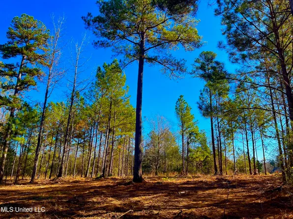 4001 Stegall Rd, Wesson, MS 39191