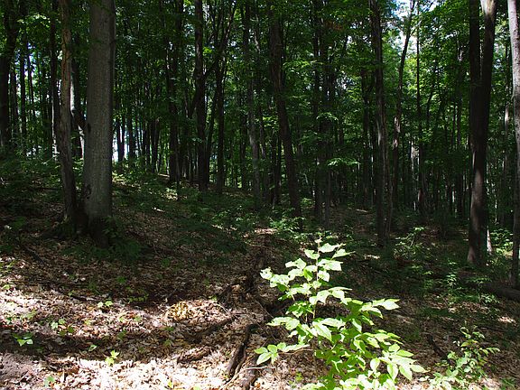 2nd image of Lot #78 The Reserve At Boyne Mountain #Lot #78