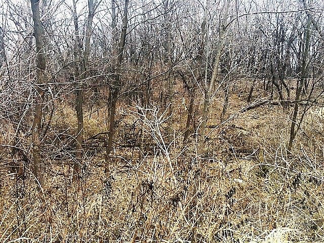 1st image of 6023 Waukonda Dr