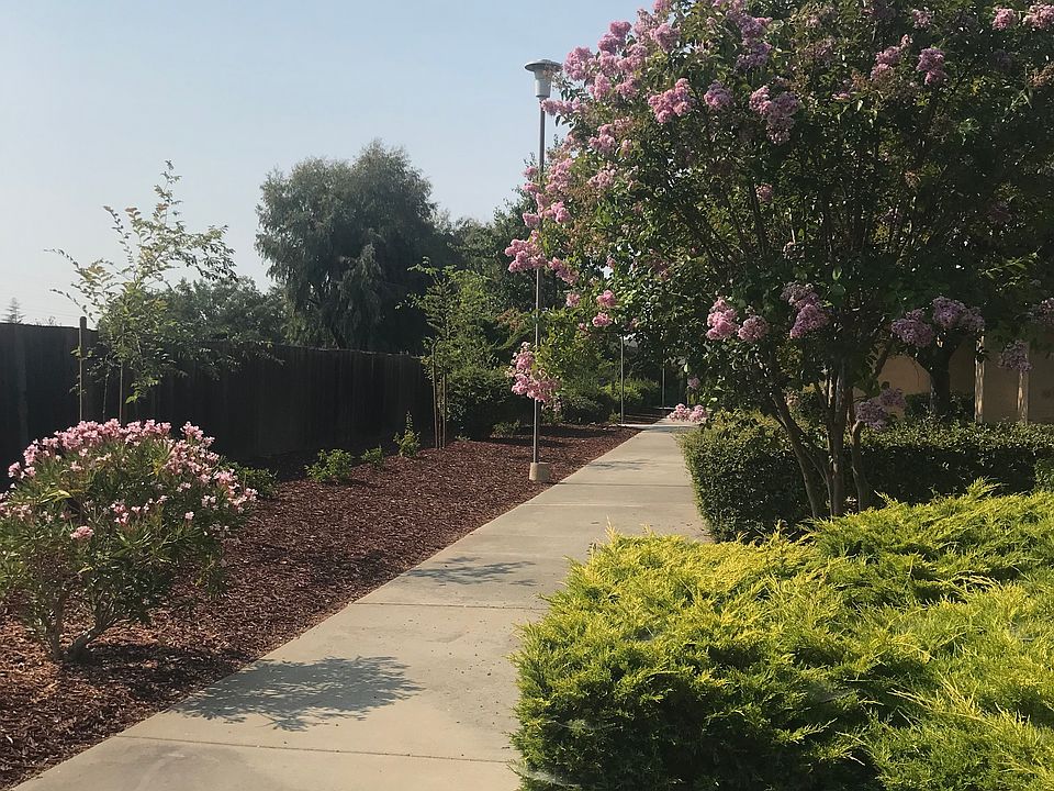 1st image of 3444 Thimblehall Ln