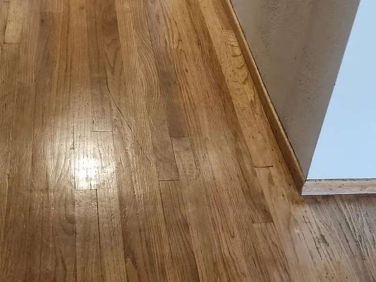 311 N Cottage Ave — Photo 5