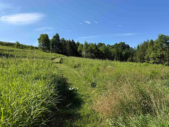 4th image of 246 Gray Road