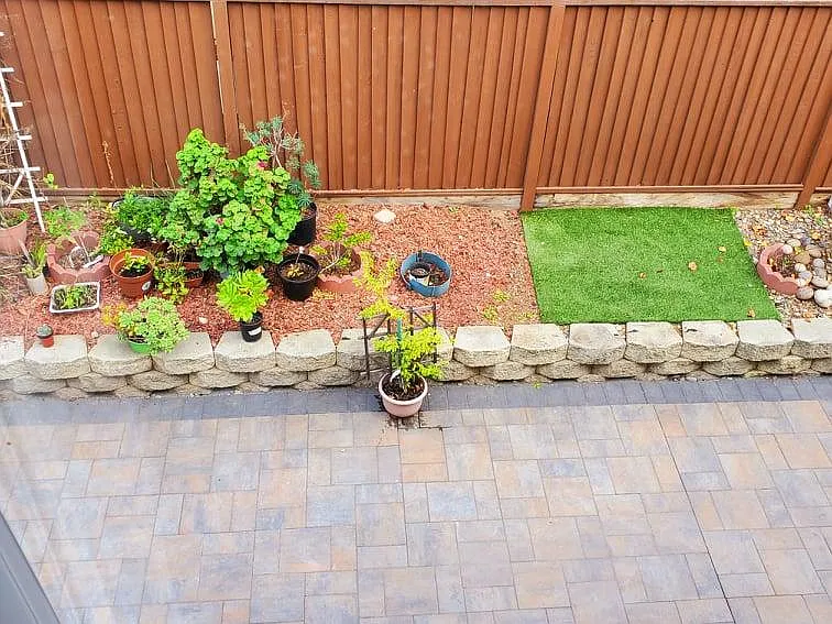 3286 Bruno Dr — Photo 57