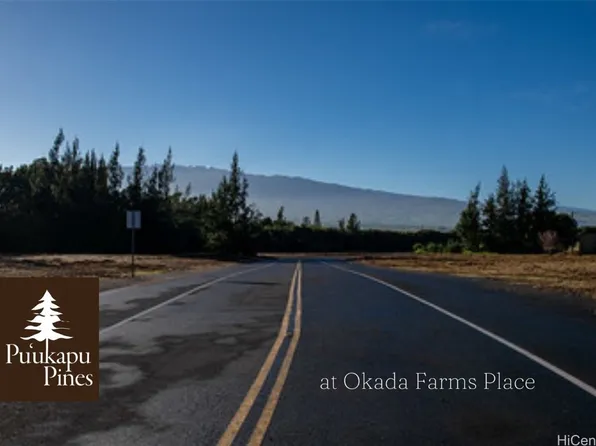 64-6114 Okada Farms Pl, Kamuela, HI 96743