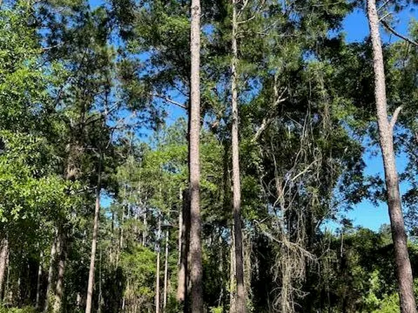 3 Savannah Millard Rd, Poplarville, MS 39470