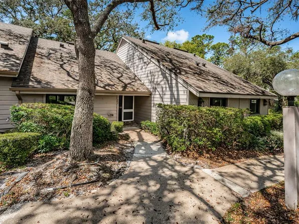 902 Old Mill Pond Rd, Palm Harbor, FL 34683