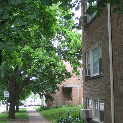 3rd image of 138 Arundel St APT 6